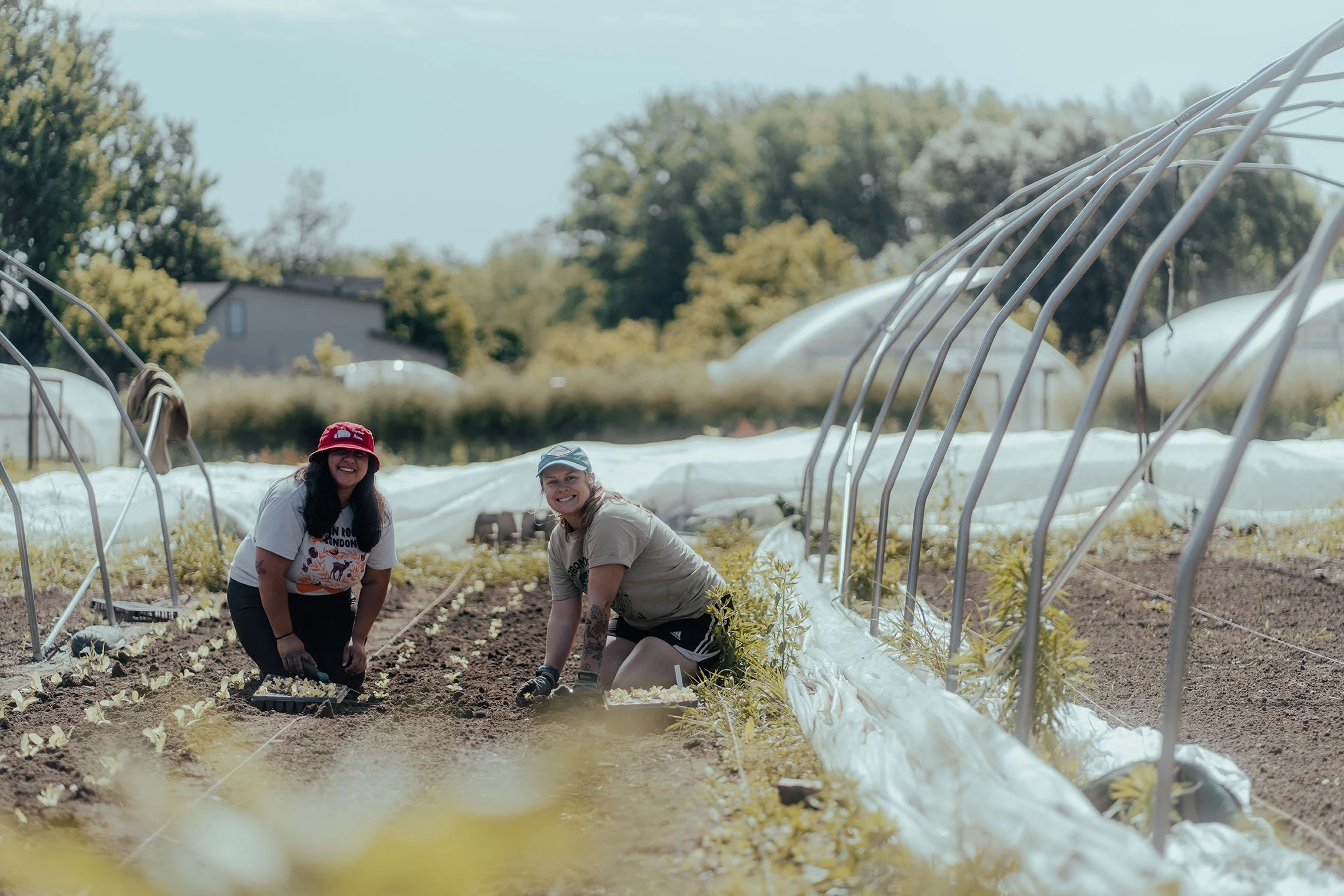 people gardening