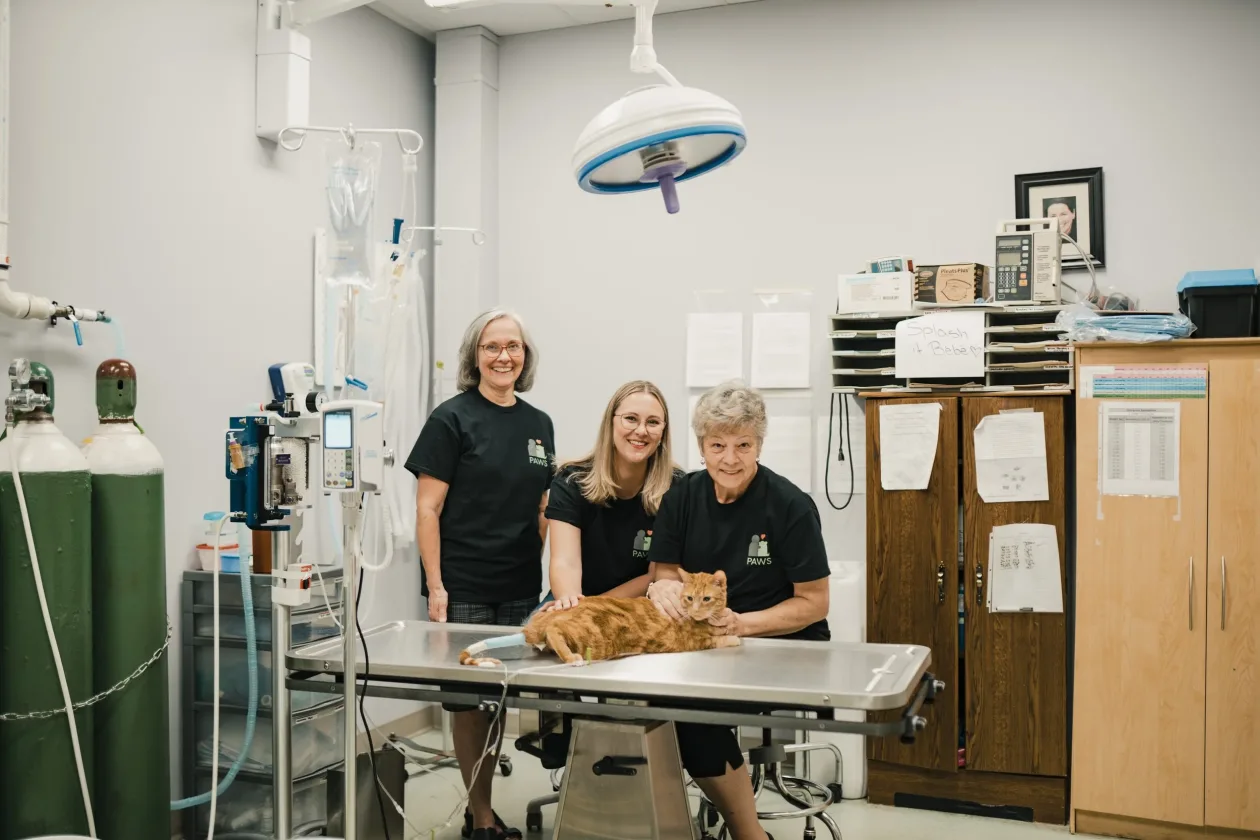 Three people standing around a vet's examination table with an orange cat